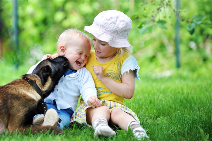 Safeguard your family and pets from insect diseases